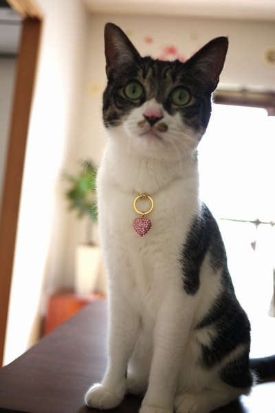 B01w400.jpg