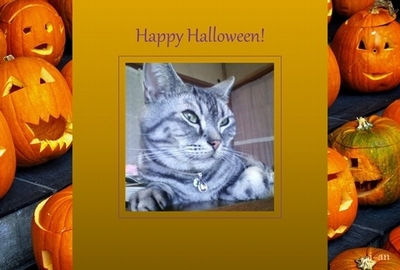 Halloween2-sample.jpg