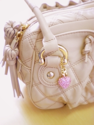 w300bag.jpg