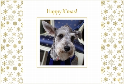 xmas-goldsnow-sample400.jpg