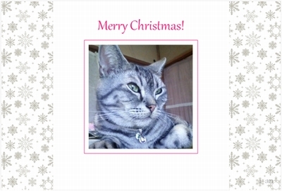 xmas-silversnow-sample400.jpg